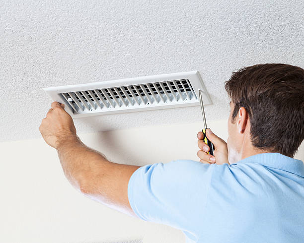 Best Mold-Related Health Consultation  in Shaw, MS