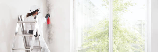 Best Indoor Air Quality Assessment  in Shaw, MS